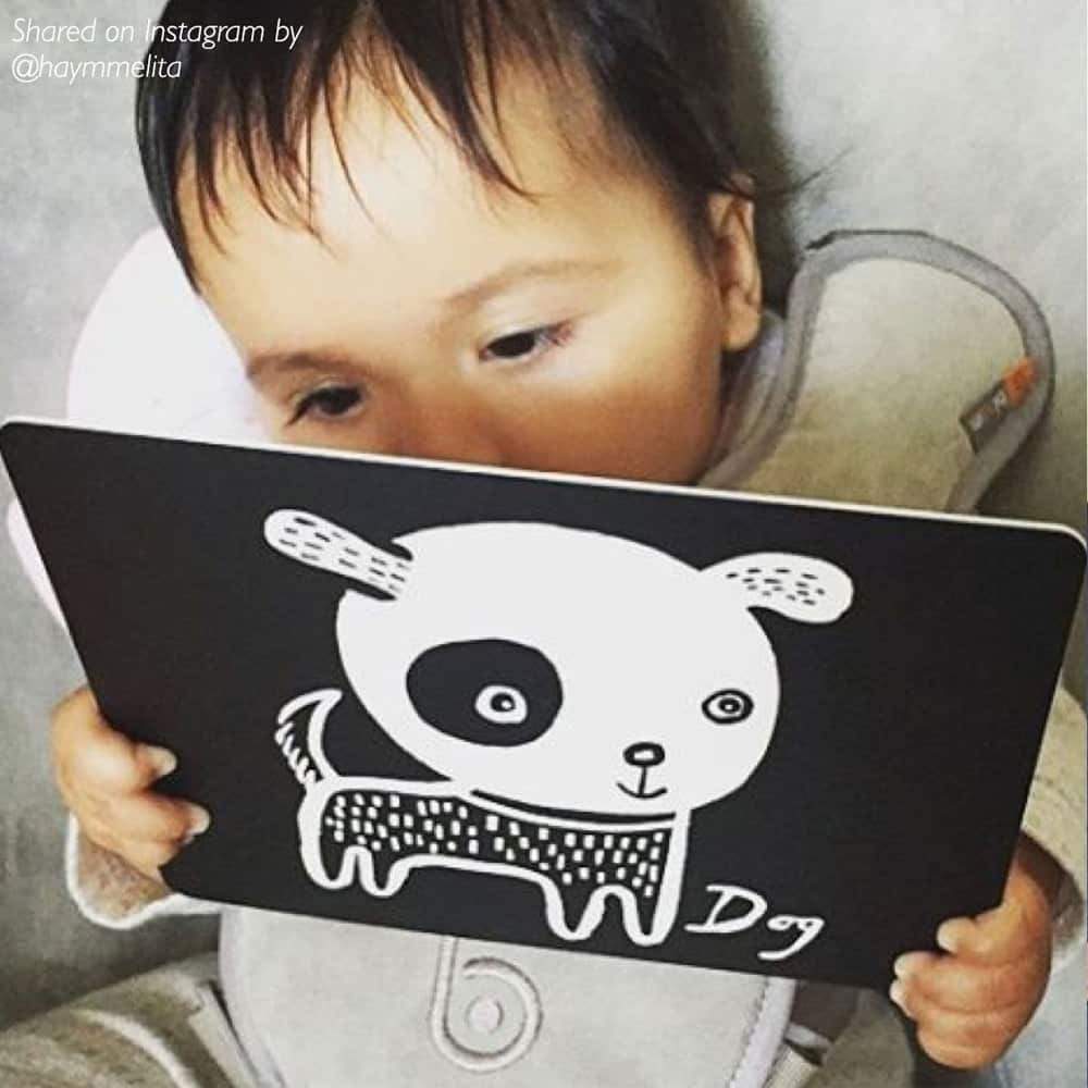 Art Cards for Baby, Pets