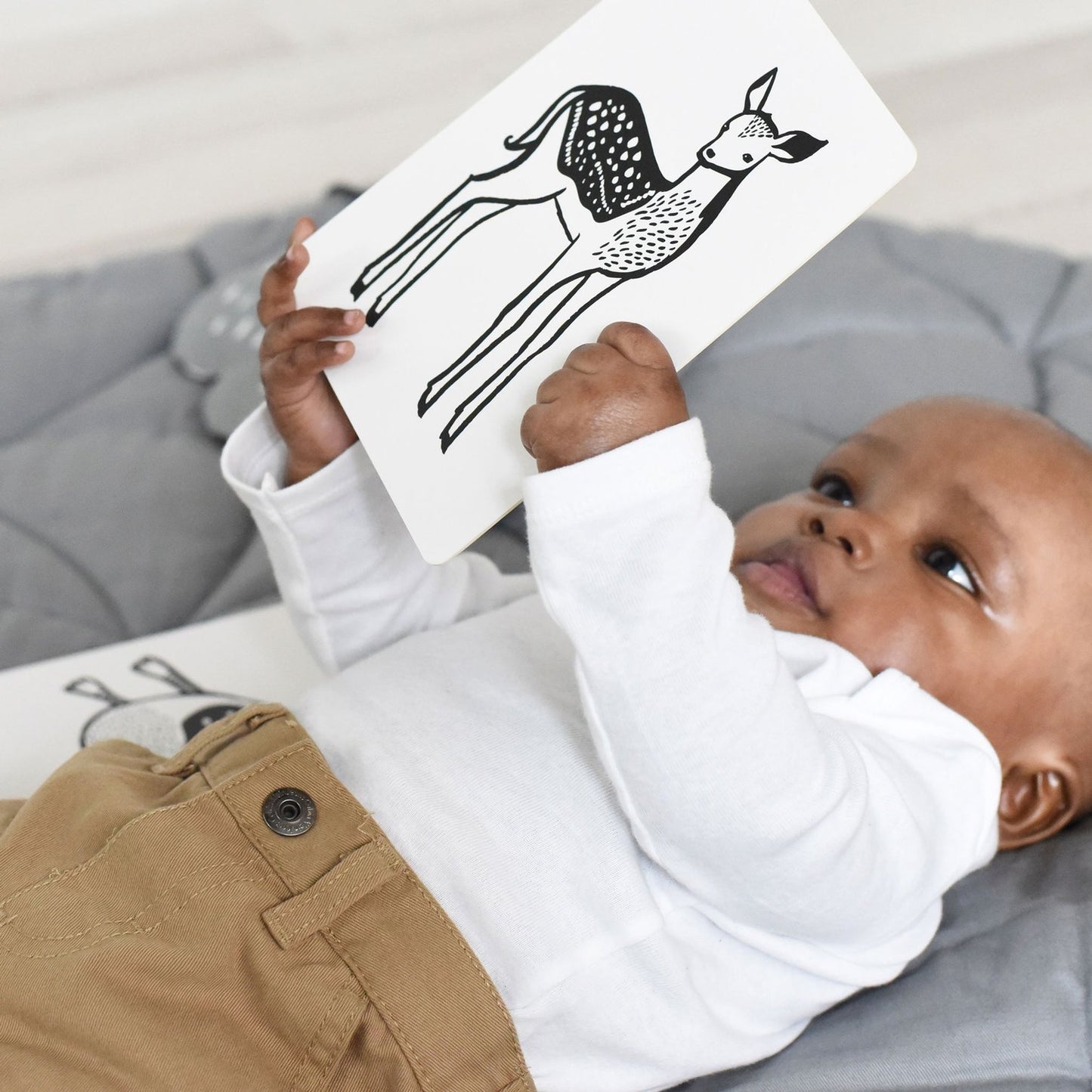 Art Cards for Baby, Pets